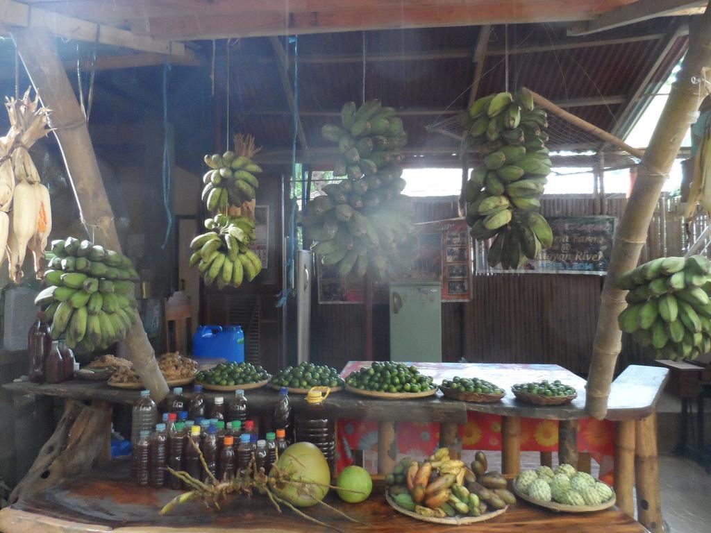 Victoria Guest House And Cottages Puerto Princesa Extérieur photo