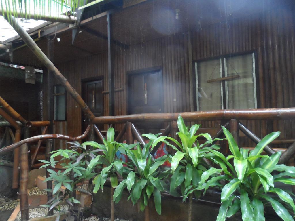 Victoria Guest House And Cottages Puerto Princesa Extérieur photo