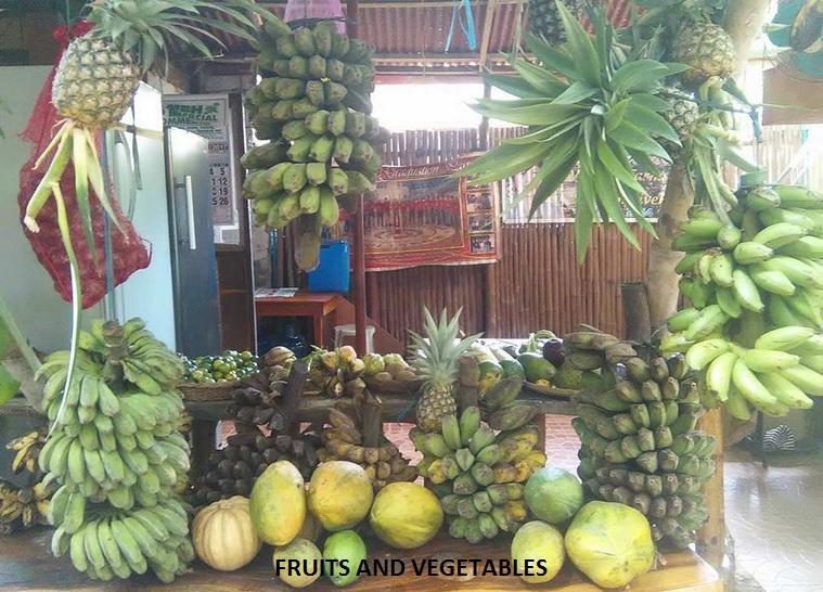 Victoria Guest House And Cottages Puerto Princesa Extérieur photo